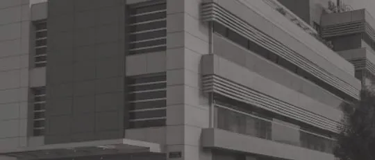 Hotel Rennova — imagen 7